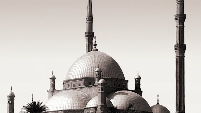 uploaded-image-armutalan-pasha-club-1696845016593