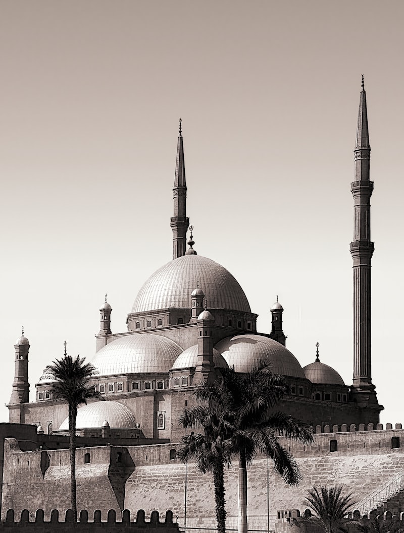 armutalan pasha club armutalan pasha club